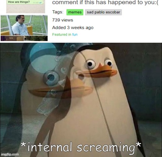 srsly no upvotes, cmon guys | image tagged in private internal screaming | made w/ Imgflip meme maker