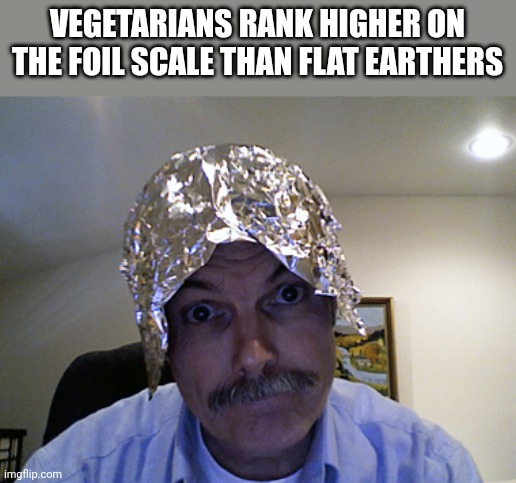Tin Foil Hat | VEGETARIANS RANK HIGHER ON THE FOIL SCALE THAN FLAT EARTHERS | image tagged in tin foil hat | made w/ Imgflip meme maker