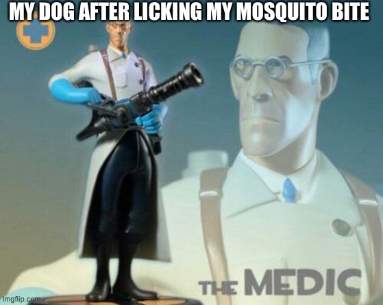The medic tf2 |  MY DOG AFTER LICKING MY MOSQUITO BITE | image tagged in the medic tf2 | made w/ Imgflip meme maker