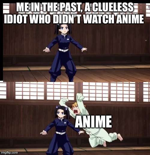 The not so great before anime | ME IN THE PAST, A CLUELESS IDIOT WHO DIDN’T WATCH ANIME; ANIME | image tagged in zenitsu | made w/ Imgflip meme maker