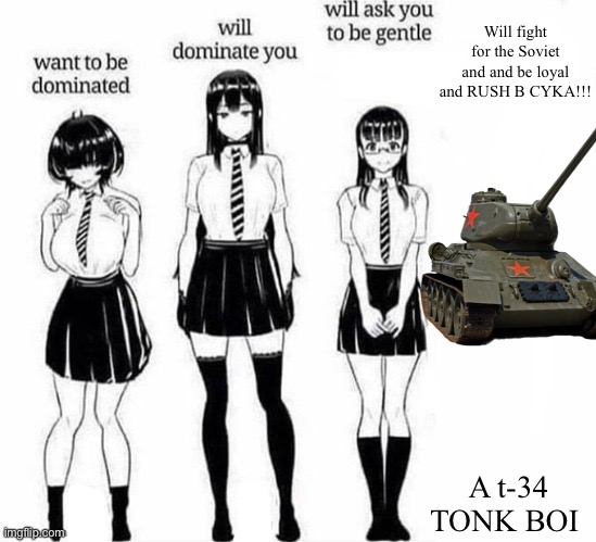 Want to be dominated | Will fight for the Soviet and and be loyal and RUSH B CYKA!!! A t-34 TONK BOI | image tagged in want to be dominated | made w/ Imgflip meme maker