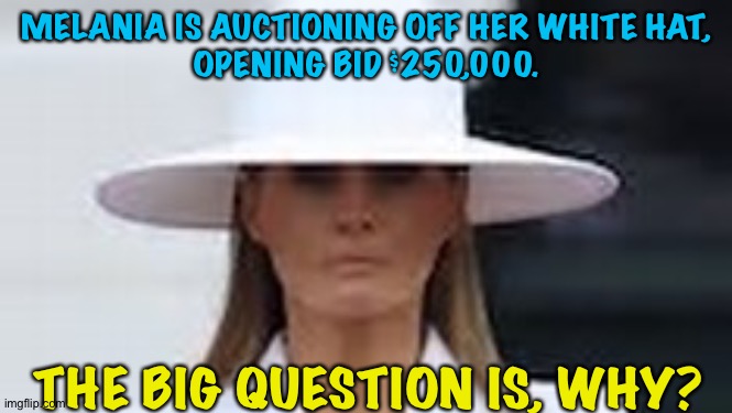 Does she think she might soon need the money? | MELANIA IS AUCTIONING OFF HER WHITE HAT,
OPENING BID $250,000. THE BIG QUESTION IS, WHY? | image tagged in melania | made w/ Imgflip meme maker