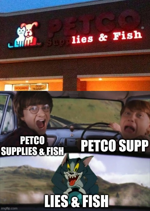 Store signs can just be messed up | PETCO SUPP; PETCO SUPPLIES & FISH; LIES & FISH | image tagged in tom chasing harry and ron weasly,signs | made w/ Imgflip meme maker