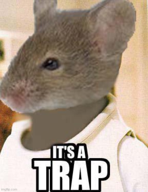 Mouse its a trap | image tagged in mouse its a trap | made w/ Imgflip meme maker