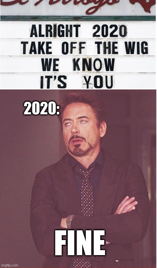 "Alright, alright I will"-2020 | 2020:; FINE | image tagged in memes,face you make robert downey jr | made w/ Imgflip meme maker