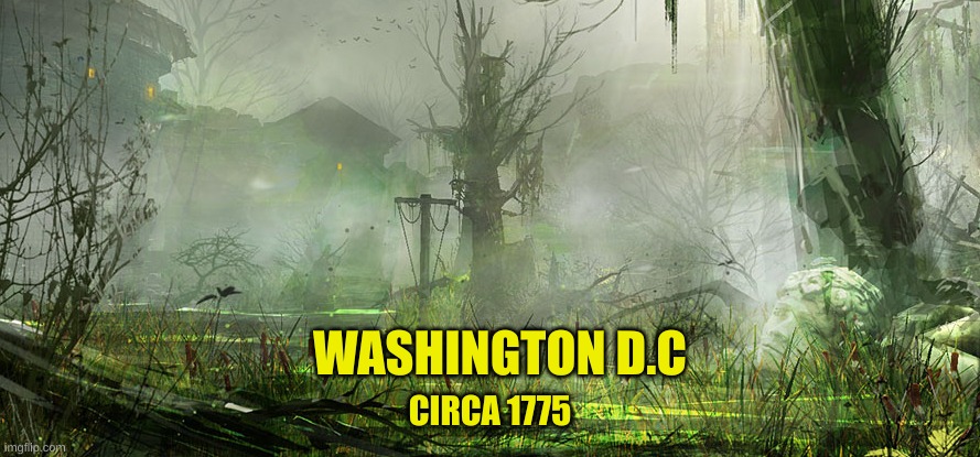 The Swamp | WASHINGTON D.C; CIRCA 1775 | image tagged in washington,politics,american history,seriously | made w/ Imgflip meme maker