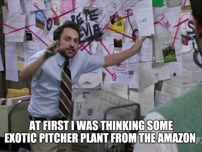 Charlie Conspiracy (Always Sunny in Philidelphia) | AT FIRST I WAS THINKING SOME EXOTIC PITCHER PLANT FROM THE AMAZON | image tagged in charlie conspiracy always sunny in philidelphia | made w/ Imgflip meme maker