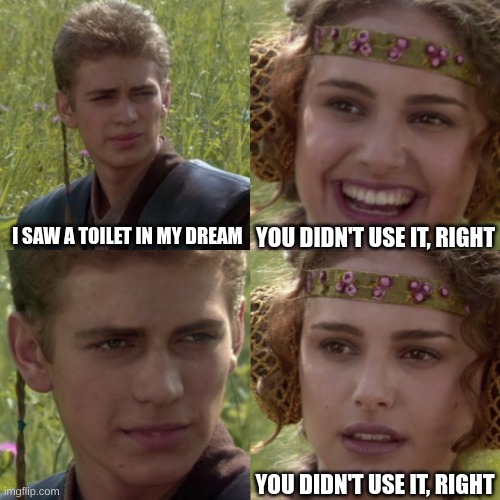 Upvote if relatabale | YOU DIDN'T USE IT, RIGHT; I SAW A TOILET IN MY DREAM; YOU DIDN'T USE IT, RIGHT | image tagged in for the better right blank | made w/ Imgflip meme maker