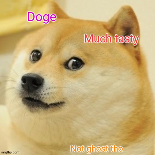 Doge Meme | Doge Much tasty Not ghost tho | image tagged in memes,doge | made w/ Imgflip meme maker