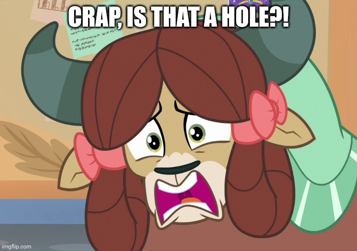 CRAP, IS THAT A HOLE?! | made w/ Imgflip meme maker