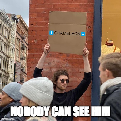⬇️CHAMELEON⬇️; NOBODY CAN SEE HIM | image tagged in memes,guy holding cardboard sign | made w/ Imgflip meme maker