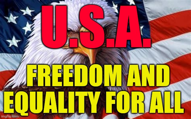 American Flag and Eagle | U.S.A. FREEDOM AND EQUALITY FOR ALL | image tagged in american flag and eagle | made w/ Imgflip meme maker