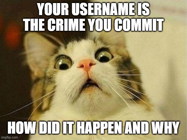 Summoned a demonic potato | YOUR USERNAME IS THE CRIME YOU COMMIT; HOW DID IT HAPPEN AND WHY | image tagged in memes,scared cat | made w/ Imgflip meme maker