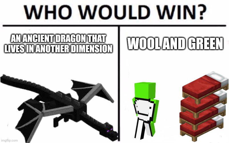  AN ANCIENT DRAGON THAT LIVES IN ANOTHER DIMENSION; WOOL AND GREEN | made w/ Imgflip meme maker