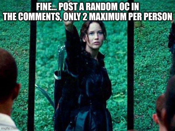 we doing the hunger games | FINE... POST A RANDOM OC IN THE COMMENTS, ONLY 2 MAXIMUM PER PERSON | image tagged in hunger games 2 | made w/ Imgflip meme maker