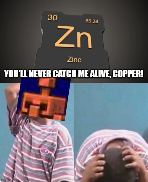 YOU'LL NEVER CATCH ME ALIVE, COPPER! | image tagged in zinc,crying kid | made w/ Imgflip meme maker