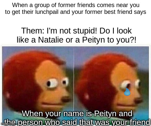 .......that hurt. that hurt so bad :( | When a group of former friends comes near you to get their lunchpail and your former best friend says; Them: I'm not stupid! Do I look like a Natalie or a Peityn to you?! When your name is Peityn and the person who said that was your friend | image tagged in memes,monkey puppet,human stupidity,fake friends | made w/ Imgflip meme maker