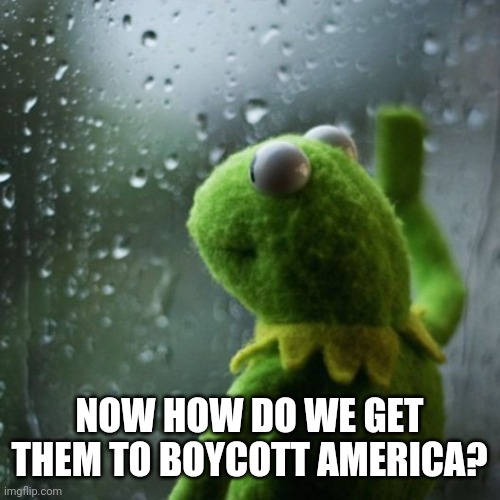 sometimes I wonder  | NOW HOW DO WE GET THEM TO BOYCOTT AMERICA? | image tagged in sometimes i wonder | made w/ Imgflip meme maker