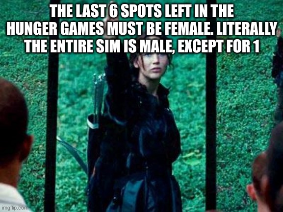 Hunger Games 2 | THE LAST 6 SPOTS LEFT IN THE HUNGER GAMES MUST BE FEMALE. LITERALLY THE ENTIRE SIM IS MALE, EXCEPT FOR 1 | image tagged in hunger games 2 | made w/ Imgflip meme maker