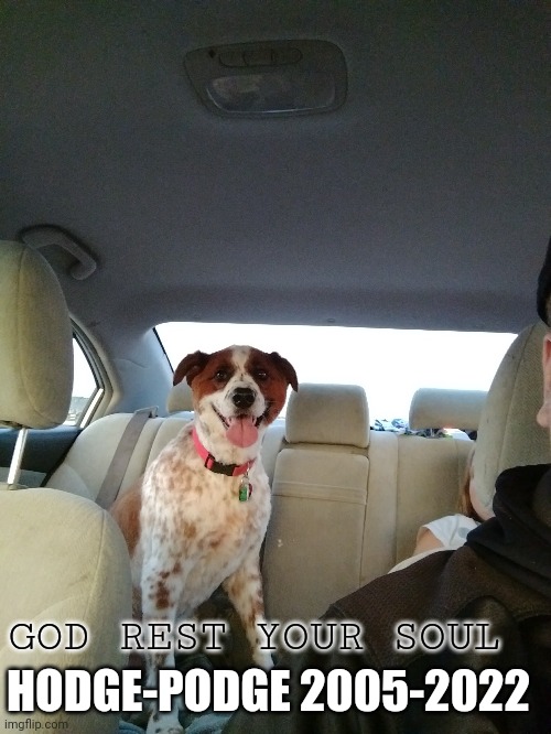 Don't upvote this. I'm only submitting so it's on my profile. | GOD REST YOUR SOUL; HODGE-PODGE 2005-2022 | made w/ Imgflip meme maker