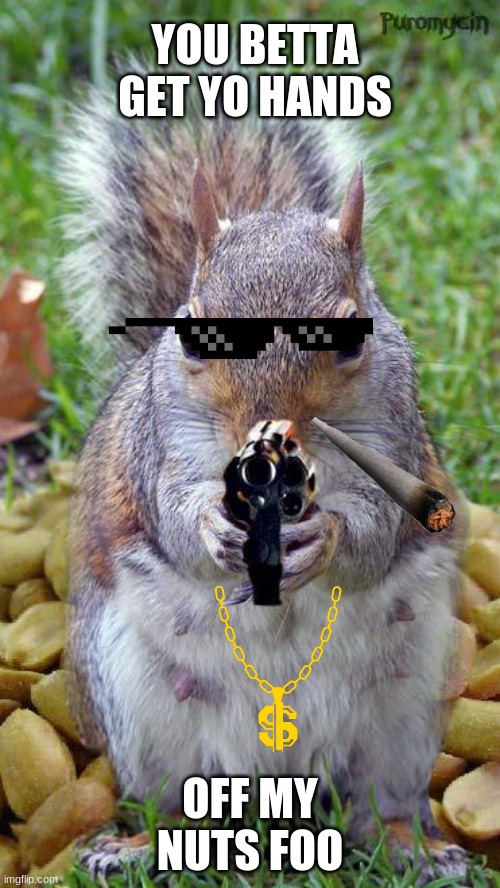 GET YO HANDS OFF!!! | YOU BETTA GET YO HANDS; OFF MY NUTS FOO | image tagged in funny squirrels with guns 5 | made w/ Imgflip meme maker