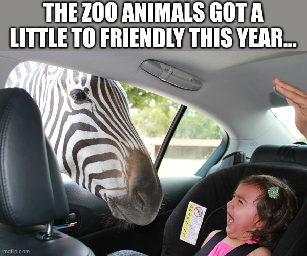 Zebra crossing | THE ZOO ANIMALS GOT A LITTLE TO FRIENDLY THIS YEAR... | image tagged in zebra - do you have a minute | made w/ Imgflip meme maker