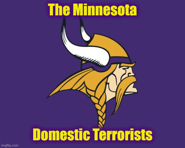 Minnesota Vikings | The Minnesota Domestic Terrorists | image tagged in minnesota vikings | made w/ Imgflip meme maker