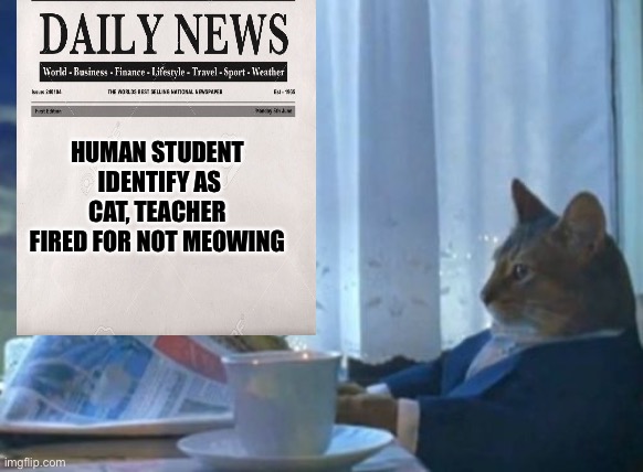 I Should Buy A Boat Cat | HUMAN STUDENT  IDENTIFY AS CAT, TEACHER FIRED FOR NOT MEOWING | image tagged in memes,i should buy a boat cat | made w/ Imgflip meme maker