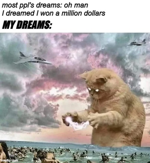 nightmare cat war | most ppl's dreams: oh man I dreamed I won a million dollars; MY DREAMS: | image tagged in mydreamsarenightmares | made w/ Imgflip meme maker