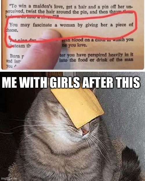 Yes.  Give them cheese | ME WITH GIRLS AFTER THIS | image tagged in cats with cheese | made w/ Imgflip meme maker