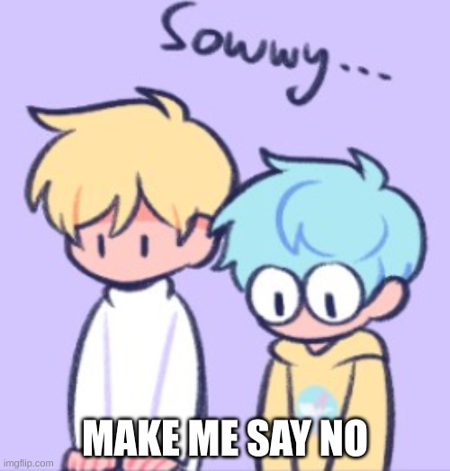 Sowwy | MAKE ME SAY NO | image tagged in sowwy | made w/ Imgflip meme maker