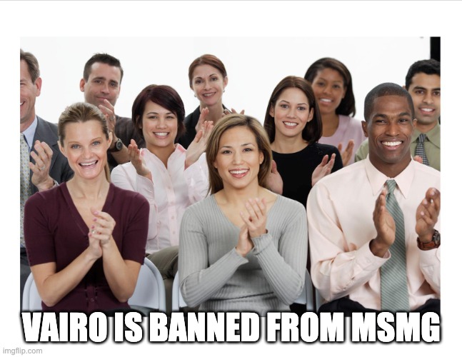 People Clapping | VAIRO IS BANNED FROM MSMG | image tagged in people clapping | made w/ Imgflip meme maker
