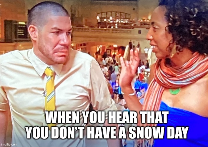 We want snow days!!!! | WHEN YOU HEAR THAT YOU DON’T HAVE A SNOW DAY | image tagged in not impressed,snow,snow day,winter,january | made w/ Imgflip meme maker