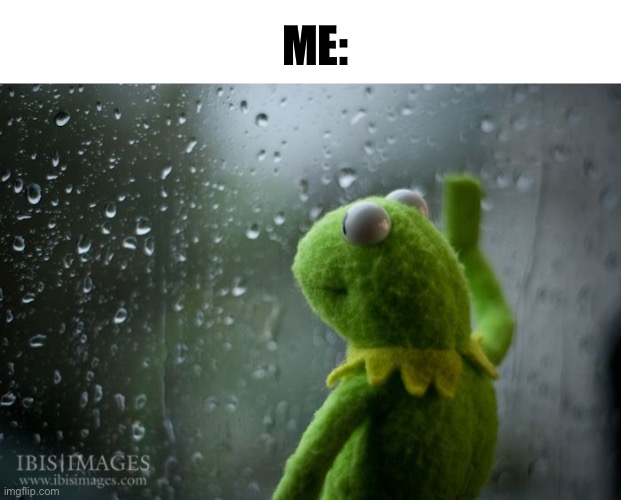 kermit window | ME: | image tagged in kermit window | made w/ Imgflip meme maker