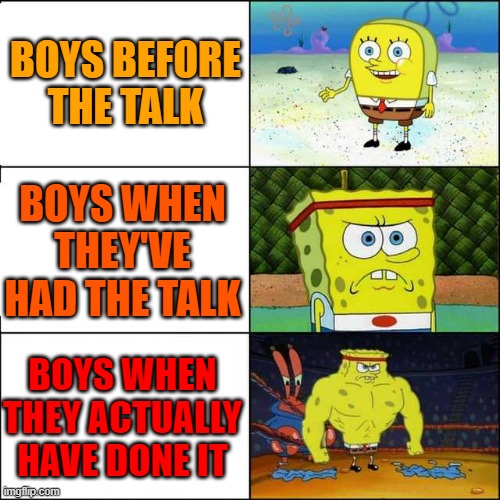 The stages of The Talk | BOYS BEFORE THE TALK; BOYS WHEN THEY'VE HAD THE TALK; BOYS WHEN THEY ACTUALLY HAVE DONE IT | image tagged in spongebob strong | made w/ Imgflip meme maker
