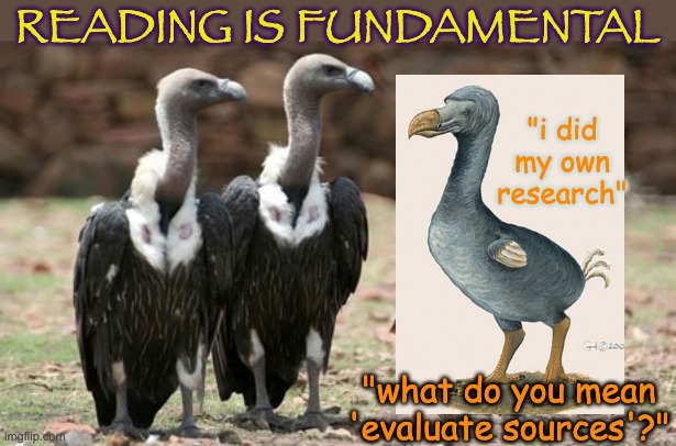 Do your research, be a critical thinker . . . just get the basics down first | READING IS FUNDAMENTAL; "i did my own research"; "what do you mean 'evaluate sources'?" | image tagged in vulture politicians,facts,research,sources | made w/ Imgflip meme maker