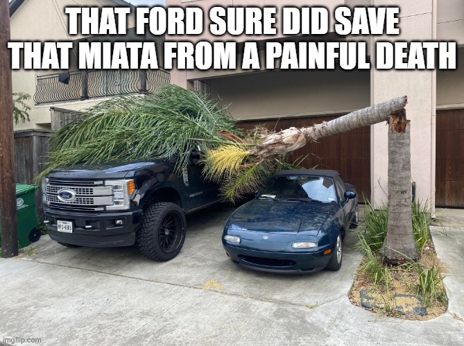Miata is the answer | THAT FORD SURE DID SAVE THAT MIATA FROM A PAINFUL DEATH | made w/ Imgflip meme maker