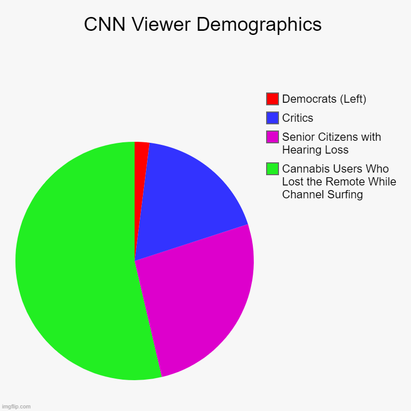 CNN Viewer Demographics | Cannabis Users Who Lost the Remote While Channel Surfing, Senior Citizens with Hearing Loss, Critics, Democrats (L | image tagged in charts,pie charts | made w/ Imgflip chart maker