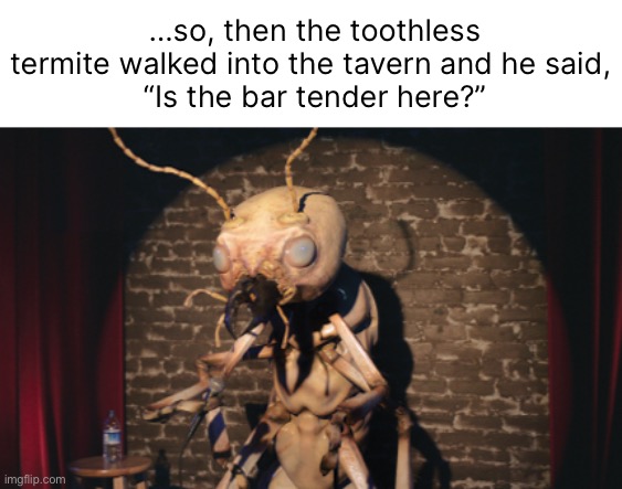 Dis’ mite be funny | …so, then the toothless termite walked into the tavern and he said, 
“Is the bar tender here?” | image tagged in funny memes,bad jokes,eyeroll | made w/ Imgflip meme maker
