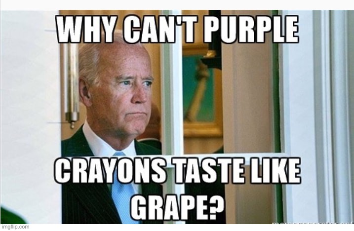 Dang I wish they were grape flavored… | image tagged in grapes,joe biden | made w/ Imgflip meme maker