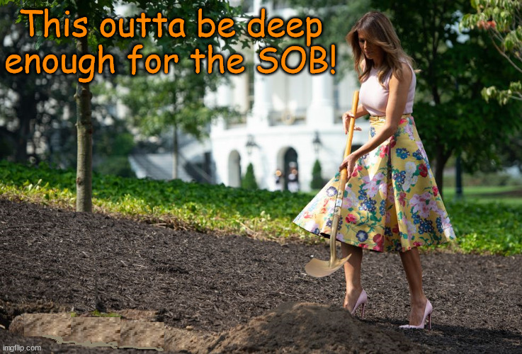 Who ratted out Donald? | This outta be deep enough for the SOB! | image tagged in melania trump,donald trump,grave digger,maga | made w/ Imgflip meme maker