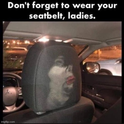 wear your seat belt | image tagged in seat belt,woman | made w/ Imgflip meme maker