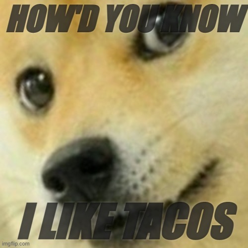 Skeptical Doge | HOW'D YOU KNOW I LIKE TACOS | image tagged in skeptical doge | made w/ Imgflip meme maker
