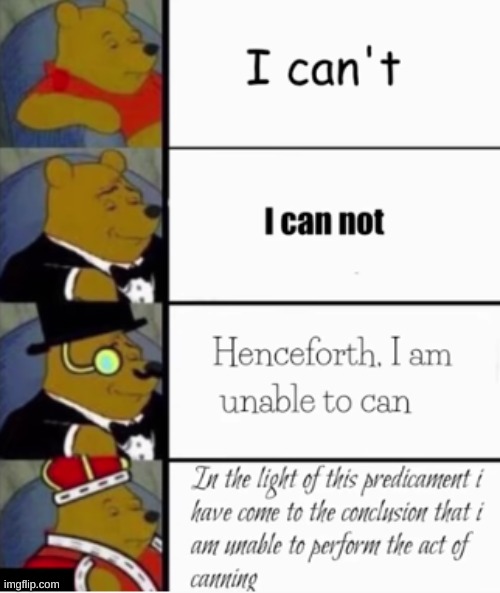 Sorry, can't | image tagged in tuxedo winnie the pooh | made w/ Imgflip meme maker