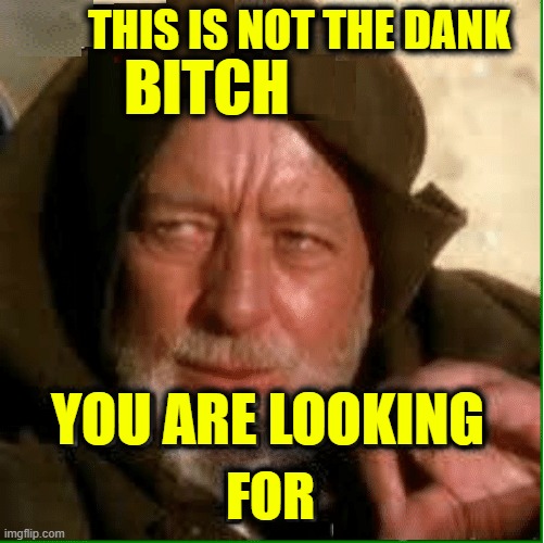THIS IS NOT THE DANK YOU ARE LOOKING FOR BITCH | made w/ Imgflip meme maker