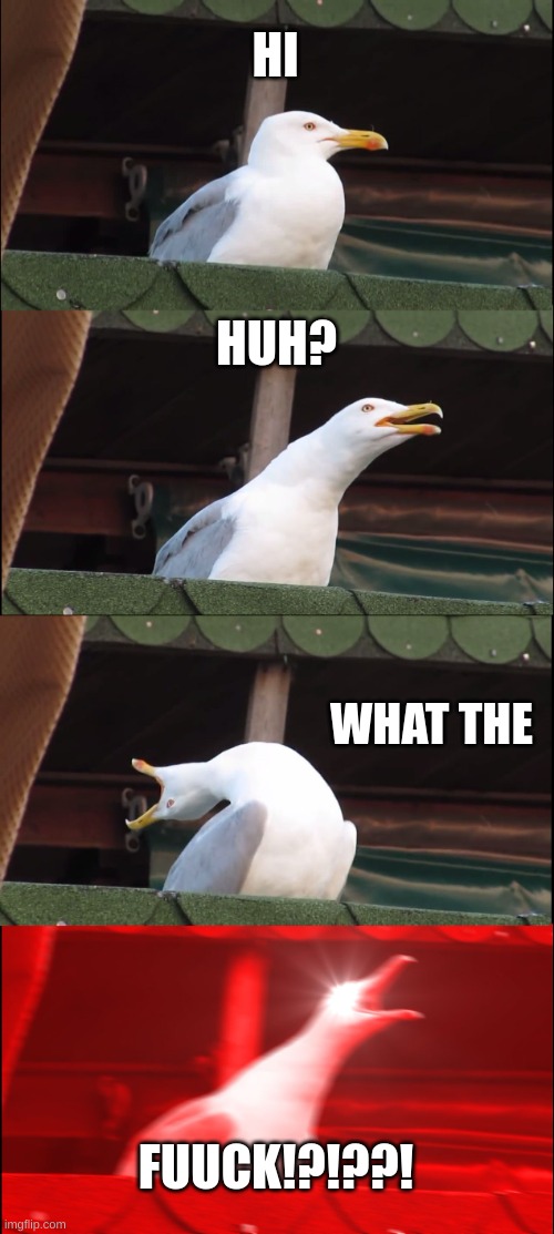 Inhaling Seagull | HI; HUH? WHAT THE; FUUCK!?!??! | image tagged in memes,inhaling seagull | made w/ Imgflip meme maker