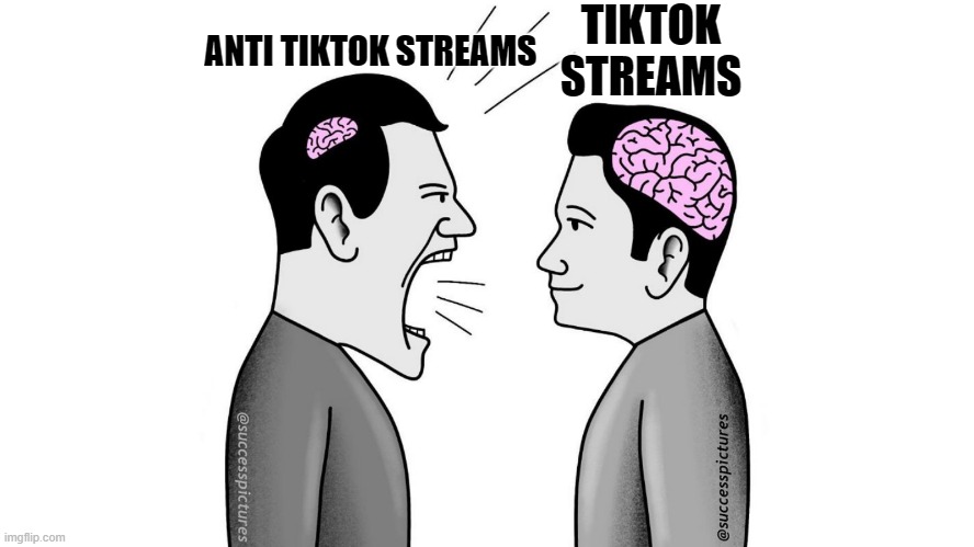 more than just a meme it's a fact deal with it admit it it's true they're trashtalkers |  ANTI TIKTOK STREAMS; TIKTOK STREAMS | image tagged in small brain yelling at big brain,tiktok good | made w/ Imgflip meme maker