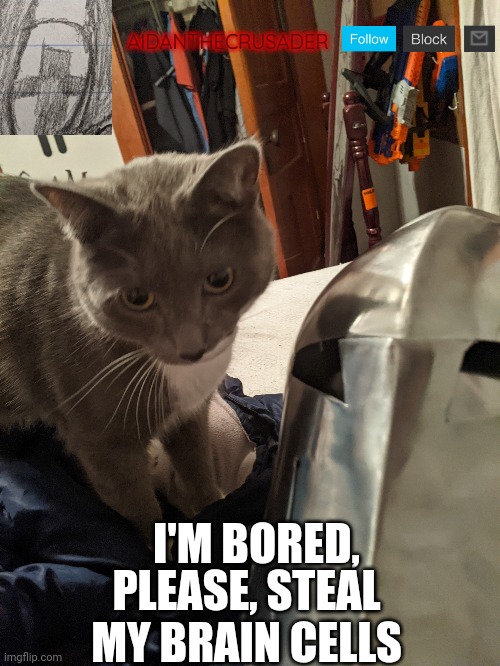 E | AIDANTHECRUSADER; PLEASE, STEAL MY BRAIN CELLS; I'M BORED, | made w/ Imgflip meme maker