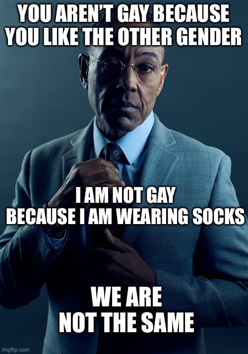 This is so dumb- | YOU AREN’T GAY BECAUSE YOU LIKE THE OTHER GENDER; I AM NOT GAY BECAUSE I AM WEARING SOCKS; WE ARE NOT THE SAME | image tagged in gus fring we are not the same | made w/ Imgflip meme maker