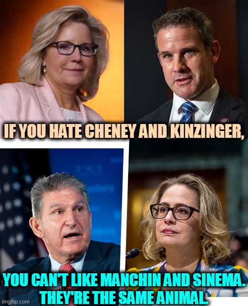 Unless your ethics are made of Play-Doh. | IF YOU HATE CHENEY AND KINZINGER, YOU CAN'T LIKE MANCHIN AND SINEMA.
THEY'RE THE SAME ANIMAL. | image tagged in republican,traitors,democratic,hold up | made w/ Imgflip meme maker